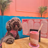 Dog Friendly Surbiton