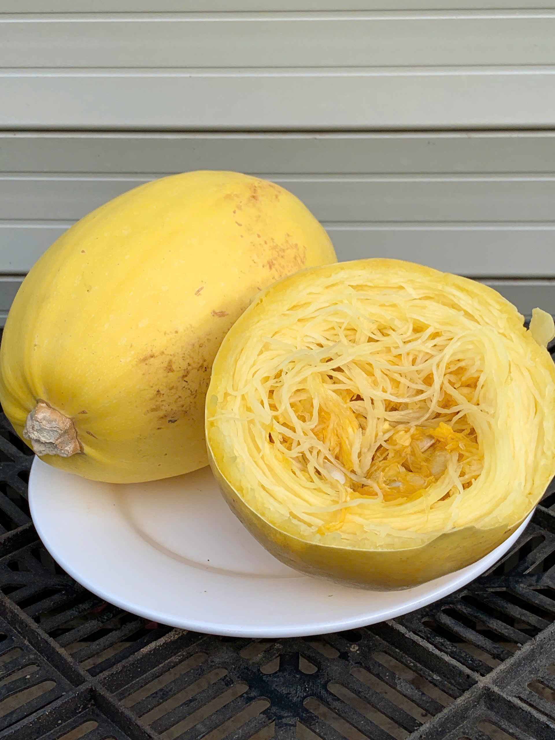 Bí sợi mì