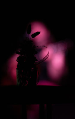 kulturabend_interlaken_web_55