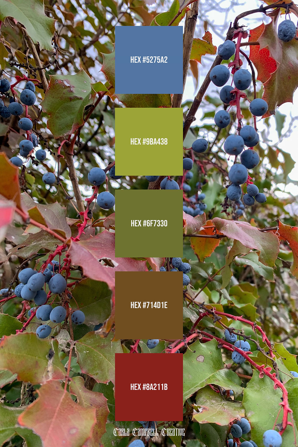 Nature-Inspired Colour Palettes for Branding & Graphic Design