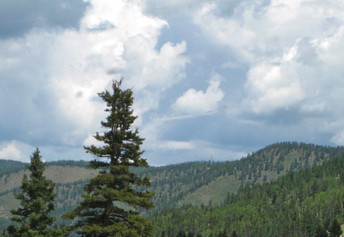 Smokey River 12.jpeg