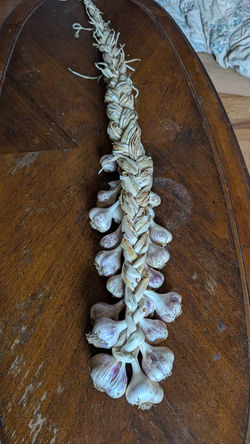 Braided Garlic
