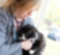 Veterinary staff at Cumberland Animal Hospital in Russell Springs examining a cat with a stethoscope during a checkup.