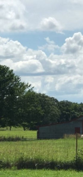 Her Lord and His Salvation cover.jpg