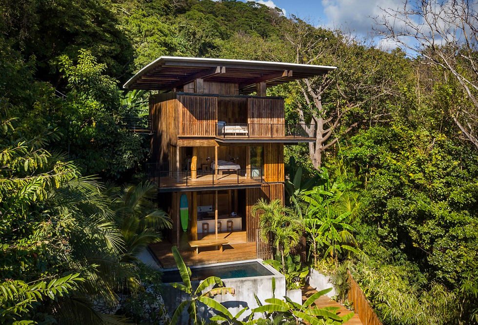 House nestled into the Central American jungle