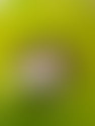 Amazing Community Spirit