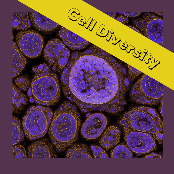 Afterschool Cell Diversity: 5-week program (ages 8-14)