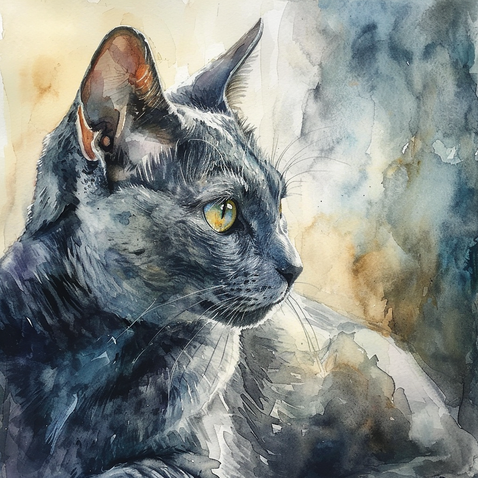 "Sinda" (Limited Edition)