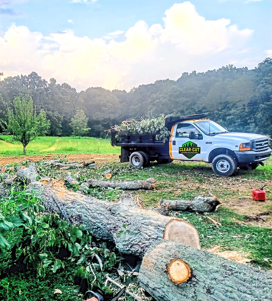 Clear-cutF350DumpBed.jpg