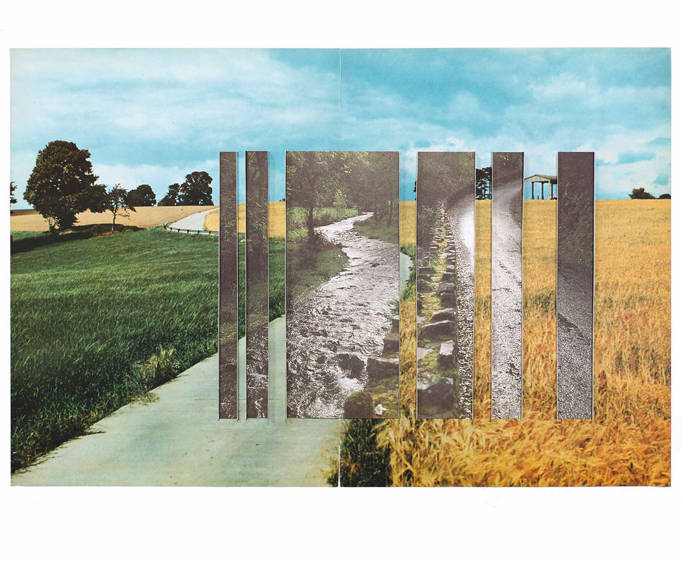 Collage of rural fields, trees, and winding paths with vertical strips showing a stream and road under a blue sky.