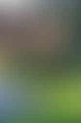 KAST Architects Cornwall sustainable architecture, Nicholas James KAST Architects Cornwall interview, contemporary sustainable architecture Cornwall UK, B Corp certified architecture practice Cornwall, modern coastal architecture Cornwall sensitive landscape design, energy efficient home design Cornwall architects, low carbon timber architecture Cornwall UK, bespoke residential architecture Cornwall Areas of Outstanding Natural Beauty, KAST Architects sustainable housing Cornwall projects, contemporary architectural design Cornwall environmentally responsible buildings, Anthony Greenwood architectural photography Cornwall homes