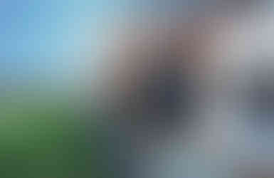 Gwel An Mor luxury holiday resort overlooking Portreath Beach on the north Cornwall coast. Gwel An Mor Portreath luxury lodges with sea views and coastal countryside surroundings. Luxury self catering lodges in Cornwall near Portreath with hot tubs and log burners. Gwel An Mor Cornwall resort offering Heligan Eco Lodges and Scandinavian style lodges. Family friendly holiday resort in Cornwall with Feadon Wildlife Centre animal experiences. Gwel An Mor Portreath resort with wildlife activities including owl encounters and foraging. North Cornwall holiday lodges near Portreath beach and the South West Coast Path. Gwel An Mor luxury coastal retreat with spa, indoor pool and wellbeing treatments. The Terrace Bar and Restaurant Gwel An Mor dining with views over Portreath Bay. Cornwall luxury resort with golf course, fishing lake and outdoor activities. Gwel An Mor Portreath holiday lodges ideal for family breaks and coastal escapes. Cornwall holiday resort with indoor activity centre, climbing walls and children’s play areas. Luxury eco lodges in Cornwall designed for sustainable self catering holidays. Gwel An Mor Portreath resort near Godrevy, Porthtowan and St Agnes Heritage Coast. North Cornwall luxury lodge resort combining coastal views, wildlife and wellness facilities.