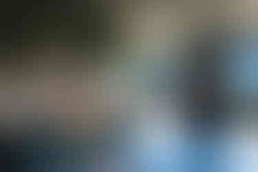 Walter’s on the Beach Carbis Bay Cornwall beachside restaurant and cocktail bar overlooking Carbis Bay beach near St Ives. Walters on the Beach Carbis Bay Estate restaurant offering fine dining and creative cocktails on the Cornwall coast. Luxury beach restaurant in Carbis Bay Cornwall serving seasonal dishes inspired by international and British cuisine. Carbis Bay Estate dining experience with ocean views, terrace dining and contemporary Cornish seafood. Walters on the Beach St Ives Cornwall restaurant known for elegant beachside dining and inventive cocktails. Carbis Bay beach restaurant serving fresh Cornish seafood including scallops, sardines and whole flat fish. Luxury restaurant and cocktail bar near St Ives Cornwall with views across Carbis Bay beach. Walters on the Beach Carbis Bay offering sophisticated dining, champagne list and seasonal menus. Beachfront restaurant in Carbis Bay Cornwall combining fine dining, cocktail theatre and coastal views. Carbis Bay Estate restaurants including Walters on the Beach, Ugly Butterfly and The Beach Club dining experiences. Walters on the Beach Cornwall destination restaurant for long lunches, dinner and beachside cocktails. St Ives area restaurant with terrace dining overlooking the white sands of Carbis Bay. Carbis Bay fine dining restaurant featuring dishes by executive chef Andrew Houghton. Walters on the Beach Cornwall luxury coastal dining experience with seasonal Cornish ingredients and seafood. Beachside restaurant near St Ives Cornwall offering elegant dining, creative cocktails and oceanfront views.