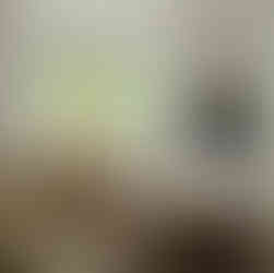 Living room with bay window using Harmony sash windows