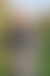 Moorland Distillery Cornwall artisan spirits producer creating traditional Cornish apple brandy and apple schnapps using locally sourced orchard fruit. Small batch distillery in Cornwall producing authentic fruit brandy distilled from fermented apple wine using a traditional copper pot still. Cornish apple brandy crafted from fresh apples, distilled and matured in oak barrels to develop rich natural flavours. Moorland Distillery family run craft distillery producing premium apple spirits inspired by Cornwall’s orchards and countryside. Traditional fruit brandy production in Cornwall combining copper pot still distillation with oak cask maturation. Cornish apple schnapps made with apple juice, honey and spring water sourced from a smallholding orchard in the South West. Artisan Cornish spirits including apple brandy, cherry brandy and sloe based hip flask liqueur produced in small batches. Craft distillery in rural Cornwall blending orchard fruit, natural ingredients and traditional distillation methods. Moorland Distillery apple spirits inspired by Cornwall’s agricultural heritage and natural larder. Cornish craft alcohol brand producing fruit brandies and schnapps for cocktails, aperitifs and after dinner drinks. Apple schnapps from Cornwall served over ice or mixed with prosecco, ginger ale or champagne for refreshing cocktails. Family run Cornish distillery combining sustainable smallholding farming with artisan spirit production. Premium Cornish fruit brandy aged in oak barrels and influenced by the coastal climate and Cornish mizzle. Local Cornish spirits producer selling at food festivals, farmers markets and artisan drink events across Cornwall. Moorland Distillery Cornwall celebrating traditional fruit brandy distillation and orchard inspired flavours from the South West.