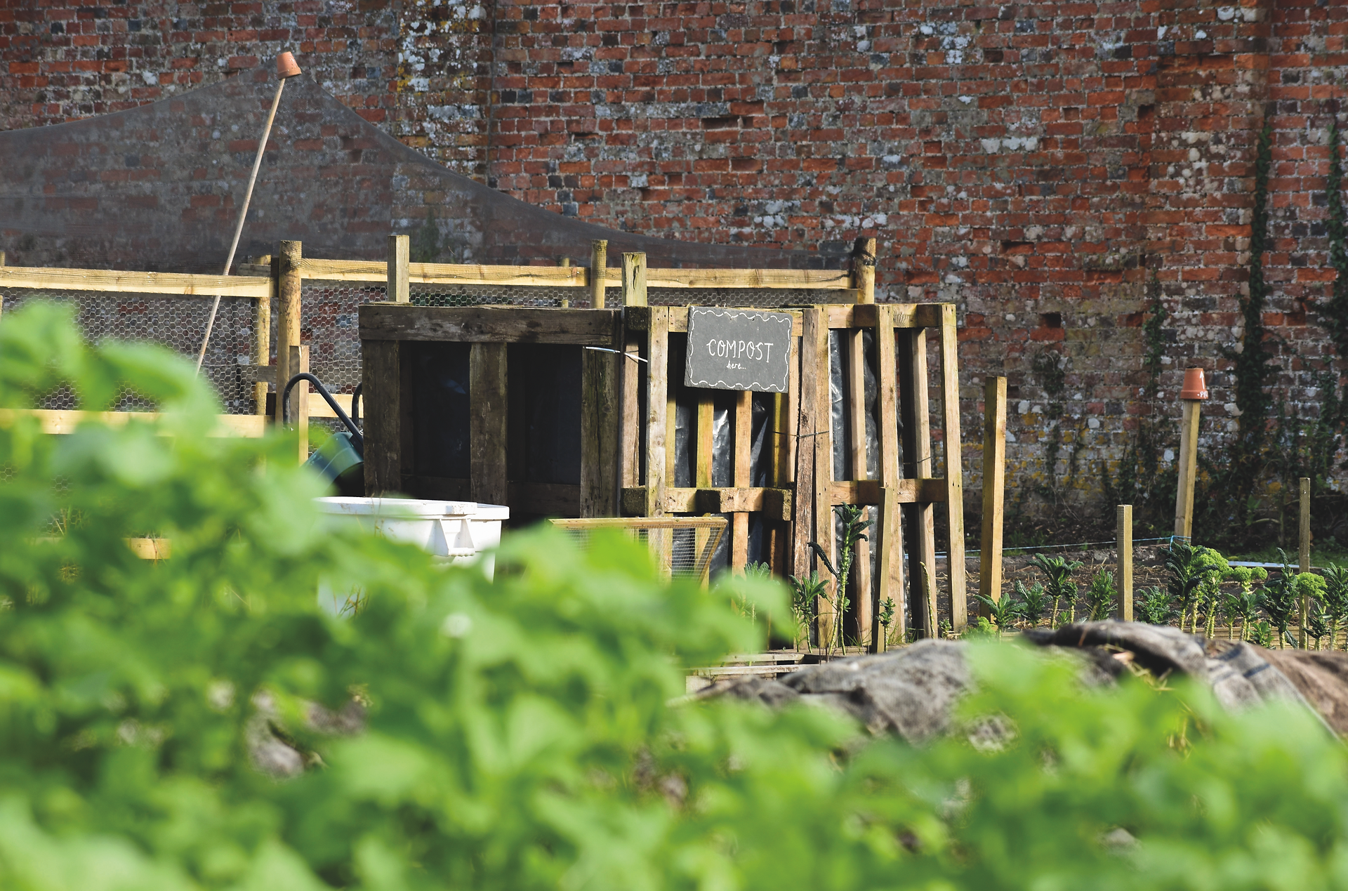 Walled Garden Cornwall, Eco-friendly Restaurant Cornwall, independent restaurant Cornwall, Flora New Yeard, Restaurant on the Lizard, Home grown food, locally sourced food, locally sourced ingredients.
