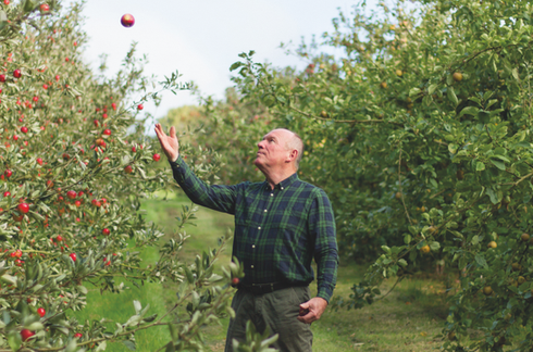Moorland Distillery Cornwall artisan spirits producer creating traditional Cornish apple brandy and apple schnapps using locally sourced orchard fruit. Small batch distillery in Cornwall producing authentic fruit brandy distilled from fermented apple wine using a traditional copper pot still. Cornish apple brandy crafted from fresh apples, distilled and matured in oak barrels to develop rich natural flavours. Moorland Distillery family run craft distillery producing premium apple spirits inspired by Cornwall’s orchards and countryside. Traditional fruit brandy production in Cornwall combining copper pot still distillation with oak cask maturation. Cornish apple schnapps made with apple juice, honey and spring water sourced from a smallholding orchard in the South West. Artisan Cornish spirits including apple brandy, cherry brandy and sloe based hip flask liqueur produced in small batches. Craft distillery in rural Cornwall blending orchard fruit, natural ingredients and traditional distillation methods. Moorland Distillery apple spirits inspired by Cornwall’s agricultural heritage and natural larder. Cornish craft alcohol brand producing fruit brandies and schnapps for cocktails, aperitifs and after dinner drinks. Apple schnapps from Cornwall served over ice or mixed with prosecco, ginger ale or champagne for refreshing cocktails. Family run Cornish distillery combining sustainable smallholding farming with artisan spirit production. Premium Cornish fruit brandy aged in oak barrels and influenced by the coastal climate and Cornish mizzle. Local Cornish spirits producer selling at food festivals, farmers markets and artisan drink events across Cornwall. Moorland Distillery Cornwall celebrating traditional fruit brandy distillation and orchard inspired flavours from the South West.