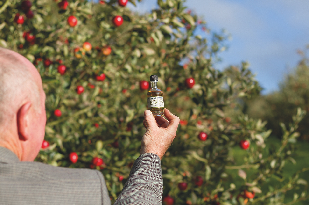 Moorland Distillery Cornwall artisan spirits producer creating traditional Cornish apple brandy and apple schnapps using locally sourced orchard fruit. Small batch distillery in Cornwall producing authentic fruit brandy distilled from fermented apple wine using a traditional copper pot still. Cornish apple brandy crafted from fresh apples, distilled and matured in oak barrels to develop rich natural flavours. Moorland Distillery family run craft distillery producing premium apple spirits inspired by Cornwall’s orchards and countryside. Traditional fruit brandy production in Cornwall combining copper pot still distillation with oak cask maturation. Cornish apple schnapps made with apple juice, honey and spring water sourced from a smallholding orchard in the South West. Artisan Cornish spirits including apple brandy, cherry brandy and sloe based hip flask liqueur produced in small batches. Craft distillery in rural Cornwall blending orchard fruit, natural ingredients and traditional distillation methods. Moorland Distillery apple spirits inspired by Cornwall’s agricultural heritage and natural larder. Cornish craft alcohol brand producing fruit brandies and schnapps for cocktails, aperitifs and after dinner drinks. Apple schnapps from Cornwall served over ice or mixed with prosecco, ginger ale or champagne for refreshing cocktails. Family run Cornish distillery combining sustainable smallholding farming with artisan spirit production. Premium Cornish fruit brandy aged in oak barrels and influenced by the coastal climate and Cornish mizzle. Local Cornish spirits producer selling at food festivals, farmers markets and artisan drink events across Cornwall. Moorland Distillery Cornwall celebrating traditional fruit brandy distillation and orchard inspired flavours from the South West.