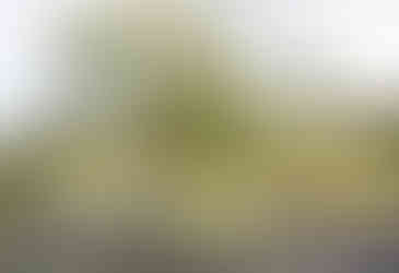 Sam Ovens garden designer Cornwall, contemporary landscape design Cornwall UK, naturalistic garden design Cornwall coastal homes, RHS Chelsea show garden designer Sam Ovens, luxury garden design for modern architecture Cornwall, bespoke landscape architecture Cornwall contemporary gardens, Cornwall garden designer inspired by wild landscapes, natural planting and geometric garden design Cornwall, high end residential garden design Cornwall UK, landscape design studio Cornwall Sam Ovens, modern outdoor garden spaces Cornwall luxury homes, RHS award winning garden designer Cornwall UK, architectural garden design Cornwall contemporary properties