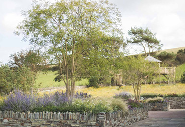 Sam Ovens garden designer Cornwall, contemporary landscape design Cornwall UK, naturalistic garden design Cornwall coastal homes, RHS Chelsea show garden designer Sam Ovens, luxury garden design for modern architecture Cornwall, bespoke landscape architecture Cornwall contemporary gardens, Cornwall garden designer inspired by wild landscapes, natural planting and geometric garden design Cornwall, high end residential garden design Cornwall UK, landscape design studio Cornwall Sam Ovens, modern outdoor garden spaces Cornwall luxury homes, RHS award winning garden designer Cornwall UK, architectural garden design Cornwall contemporary properties