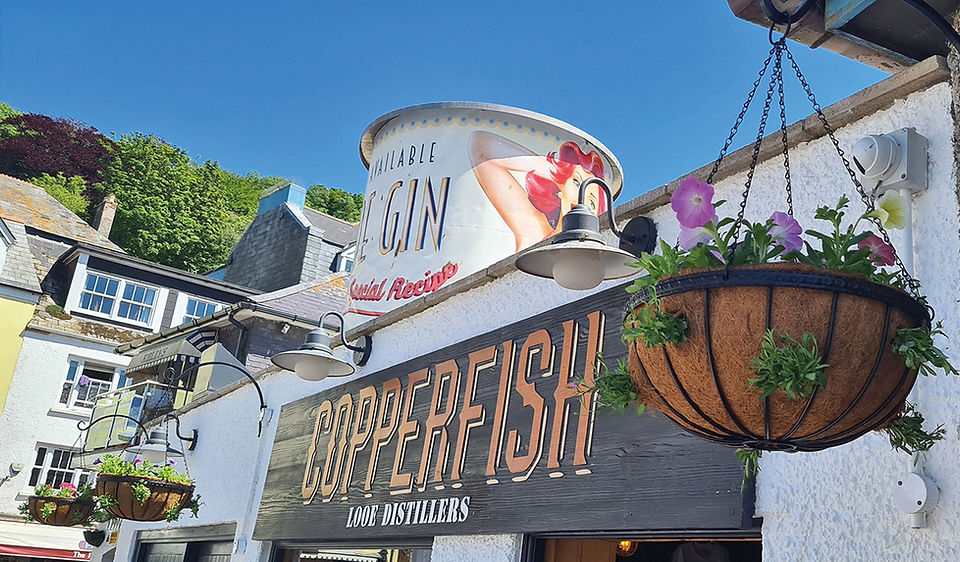 Copperfish Distillery Shop in Looe