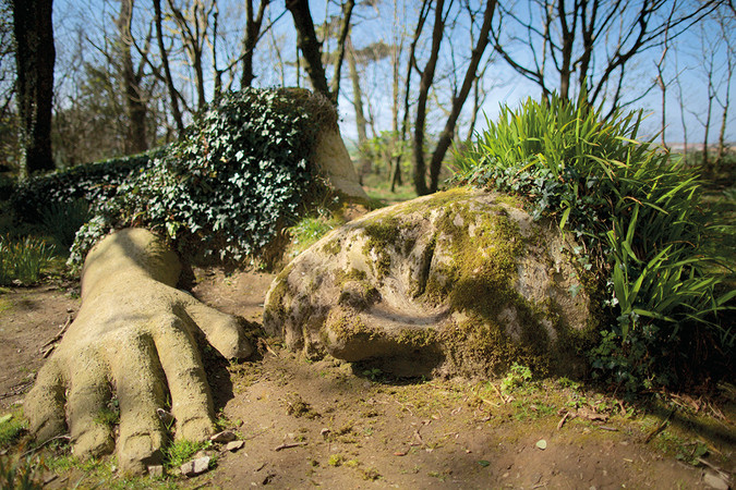 Mossy tree roots shaped like a giant hand and face in a wooded park, with ivy and green plants under a blue sky