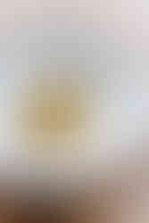 Michael Caines Cornwall restaurants celebrating seasonal British cuisine using local Cornish produce. Michael Caines restaurants in Cornwall including The Cove Maenporth and Harbourside Refuge Porthleven. The Cove Maenporth Beach restaurant near Falmouth serving fresh Cornish seafood and seasonal dishes. Michael Caines Cove Restaurant Cornwall beachside dining overlooking Maenporth Beach. Harbourside Refuge Porthleven restaurant offering relaxed harbourfront dining with seasonal Cornish ingredients. Michael Caines Cornwall dining experience showcasing produce from local farmers, fishermen and growers. The Cove Falmouth restaurant offering tasting menus, fixed price dining and ocean view terrace dining. Porthleven Harbourside Refuge restaurant serving seafood, local meat and seasonal vegetables. Michael Caines Cornwall food philosophy centred on sustainability, seasonality and local sourcing. Maenporth Beach restaurant near Falmouth serving Mediterranean inspired British cuisine. Harbourside Refuge Porthleven historic harbour restaurant with quayside terrace and seasonal menus. Michael Caines restaurants supporting south west suppliers and sustainable fishing practices. Cornwall coastal dining with fresh seafood, Ruby Red beef and locally grown vegetables. The Cove Cornwall destination restaurant for beachside lunches, dinners and tasting menus. Michael Caines Cornwall restaurants combining exceptional food, sea views and seasonal local ingredients.