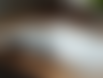 From Page to Click: How Magazine Exposure Boosts Paid Ad Performance