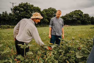 St Michaels Resort Falmouth Cornwall luxury coastal resort overlooking Gyllyngvase Beach. St Michaels Resort restaurant Falmouth serving seasonal Cornish cuisine with locally sourced ingredients. Brasserie on the Bay Falmouth restaurant offering ocean views and modern Cornish dining. St Michaels Resort Falmouth 2 AA Rosette restaurant celebrating Cornwall’s farms, fields and seas. Falmouth fine dining restaurant led by Executive Chef Darren Millgate focusing on fresh local produce. Brasserie on the Bay menu featuring Cornish seafood from Newlyn Fish Market and seasonal vegetables from local farms. St Michaels Resort Cornwall dining experience showcasing scallops, pork from Primrose Herd and fresh Cornish produce. Garden Kitchen Falmouth relaxed restaurant serving wood fired pizzas, seasonal salads and Mediterranean inspired dishes. St Michaels Resort Falmouth restaurants offering coastal dining overlooking gardens and the sea. Cornwall resort restaurant supporting local suppliers including Da Bara Bakery, Boddington’s Berries and the Cornish Crab Company. Falmouth restaurant and resort dining destination near Gyllyngvase Beach. St Michaels Resort Cornwall food philosophy centred on seasonal ingredients and low food miles. Garden Kitchen Falmouth laid back dining space with open kitchen and ocean views. St Michaels Resort Falmouth luxury hotel with spa, restaurants and Cornish food experiences. Cornwall coastal dining celebrating local seafood, sustainable farming and seasonal flavours.