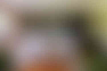 luxury interior design studio creating personalised homes that reflect individual lifestyle and character. Contemporary interior design blending traditional English furniture with modern materials and colour palettes. Bespoke residential interior design for coastal homes and luxury countryside properties. Timeless interior design schemes combining heritage craftsmanship with contemporary styling. High end interior design services creating layered, elegant living spaces for modern families. Luxury farmhouse interior renovation inspired by the natural textures and tones of the Cornish coastline. Curated home interiors featuring handmade textiles, vintage furniture and bespoke lighting. Boutique interior design studio delivering personalised residential projects across the UK. Sophisticated interior design focused on functionality, comfort and long lasting style. Luxury home interiors designed to balance contemporary living with classic English design influences.