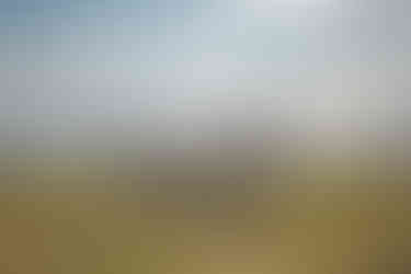 The Bay Hotel Coverack Cornwall seafront hotel overlooking the harbour and beach. The Bay Hotel Coverack luxury coastal accommodation on the Lizard Peninsula in Cornwall. Hevva Restaurant at The Bay Hotel Coverack serving fresh Cornish seafood and seasonal produce. Coverack Cornwall restaurant specialising in locally caught lobster, king crab and line caught mackerel. The Bay Hotel Coverack restaurant sourcing fish from the local fishing fleet and Cornish markets. Coastal hotel in Coverack Cornwall offering sea view rooms and beachside dining. The Bay Hotel Lizard Peninsula restaurant celebrating Cornwall’s seafood and local suppliers. Coverack seafront hotel with terrace dining overlooking the Cornish coastline. Hevva Restaurant Coverack serving Fal oysters, local hake and seasonal Cornish dishes. Boutique hotel on the Lizard Peninsula offering coastal dining and Cornish hospitality. The Bay Hotel Coverack dining experience focused on local fish, shellfish and grass fed beef. Cornwall seaside hotel with restaurant showcasing produce from St Ives and local farms. Coverack harbour hotel offering ocean view accommodation and seafood dining. The Bay Hotel Coverack coastal retreat with sea view terrace and seasonal menus. Lizard Peninsula Cornwall hotel combining coastal views, local seafood and relaxed dining.