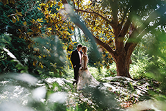 Bride and groom stand in a sunlit forest clearing amid lush green foliage and a large tree, creating a dreamy wedding mood.