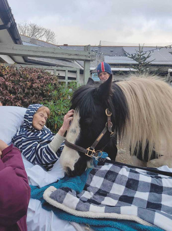 Elderly woman in a striped hoodie pets a black-and-white horse beside a bed outdoors, with a calm helper in back.