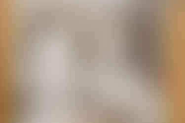 bespoke solid wood kitchens handcrafted in Cornwall by George Robinson Kitchens using traditional carpentry techniques. Handmade wooden kitchens designed and built in Cornwall using sustainably sourced timber. Custom made solid timber kitchen cabinetry crafted by skilled joiners in Cornwall. Traditional carpentry and bespoke kitchen design services by George Robinson Kitchens Cornwall. Handcrafted kitchens built to last generations using natural wood and heritage woodworking methods. Bespoke kitchen design and installation for period homes and modern houses across Cornwall. Solid wood kitchen cabinets and custom joinery crafted by local craftsmen in Cornwall workshops. Sustainable kitchen design using responsibly sourced timber and energy efficient appliances. Handmade wooden furniture including dining tables, bookcases and cabinetry by George Robinson Kitchens. Luxury bespoke kitchens designed to maximise space and functionality in Cornwall homes. Traditional joinery craftsmanship creating durable timber kitchens for family homes in Cornwall. Custom kitchen cabinetry built from solid wood using time honoured carpentry skills. Artisan kitchen makers in Cornwall producing handcrafted kitchens and bespoke home furniture. Made to measure kitchen interiors combining classic craftsmanship with contemporary design. Hand built kitchens and bespoke wooden furniture created by George Robinson Kitchens Cornwall.