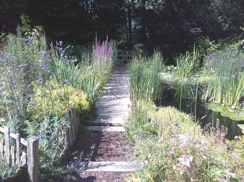 Cornwall Ponds aquatic garden design Cornwall UK, wildlife pond installation Cornwall gardens, natural swimming ponds and water features Cornwall, ecological pond design Cornwall Aquatic Consultancy, garden ponds for wildlife habitat UK Cornwall, Japanese style koi ponds Cornwall garden landscaping, sustainable garden water features Cornwall UK, pond design maintenance Cornwall Aquatic Consultancy, creating wildlife friendly gardens Cornwall ponds, aquatic landscape design Cornwall natural ponds water gardens