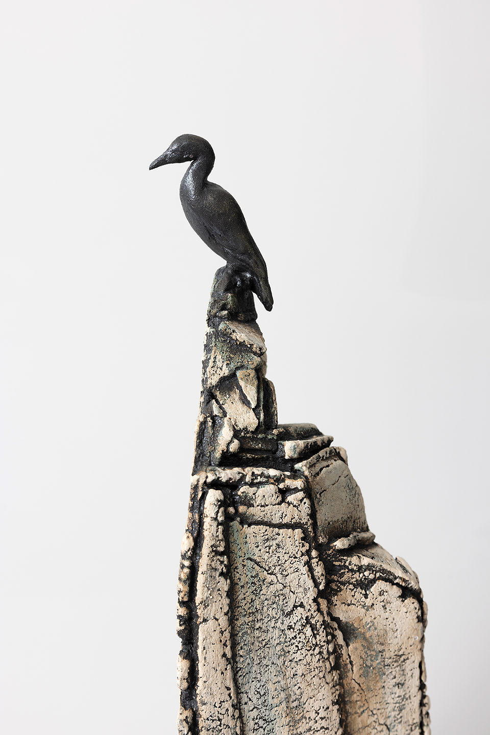 'Cormorant on a Rock' by Jane Silk
