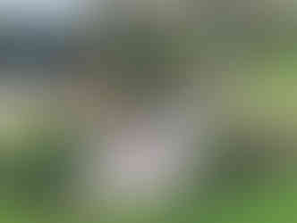 Cornwall Ponds aquatic garden design Cornwall UK, wildlife pond installation Cornwall gardens, natural swimming ponds and water features Cornwall, ecological pond design Cornwall Aquatic Consultancy, garden ponds for wildlife habitat UK Cornwall, Japanese style koi ponds Cornwall garden landscaping, sustainable garden water features Cornwall UK, pond design maintenance Cornwall Aquatic Consultancy, creating wildlife friendly gardens Cornwall ponds, aquatic landscape design Cornwall natural ponds water gardens