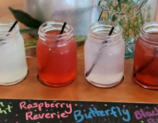 lemonade flight for website.jpg