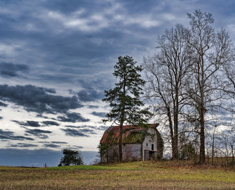 abandoned barn, weathered wood, ruin, overcast sky,
