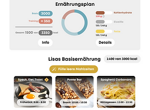 Ernaehrungsplan.png