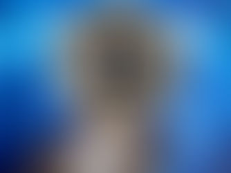 Bitcoin’s Bulls Rage on Amongst US Election Outcome