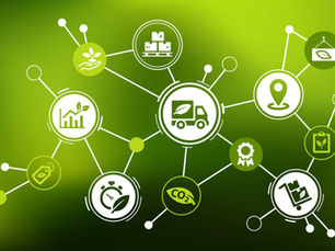 Greener Supply Chains: Driving Sustainability in Logistics