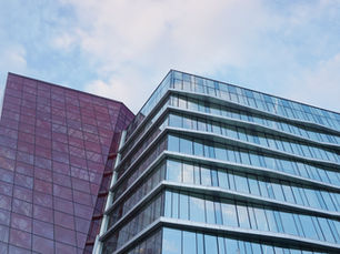 A Guide to Corporate Life