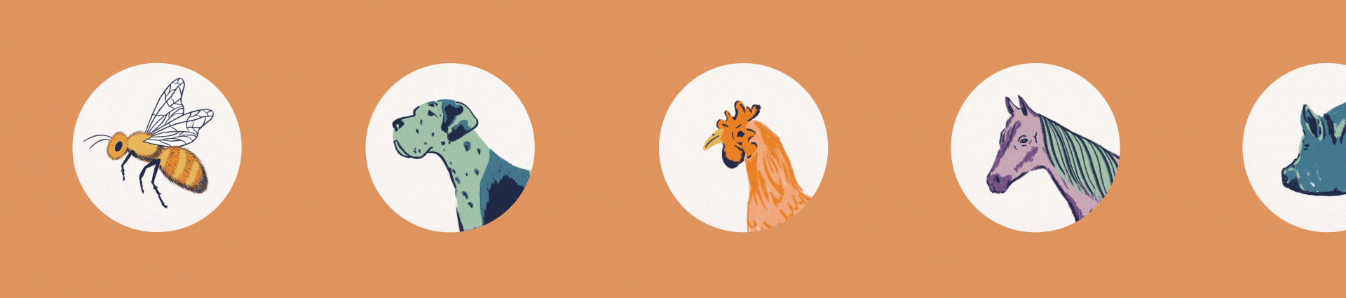 TierraViva_Assets_Animals (1).gif
