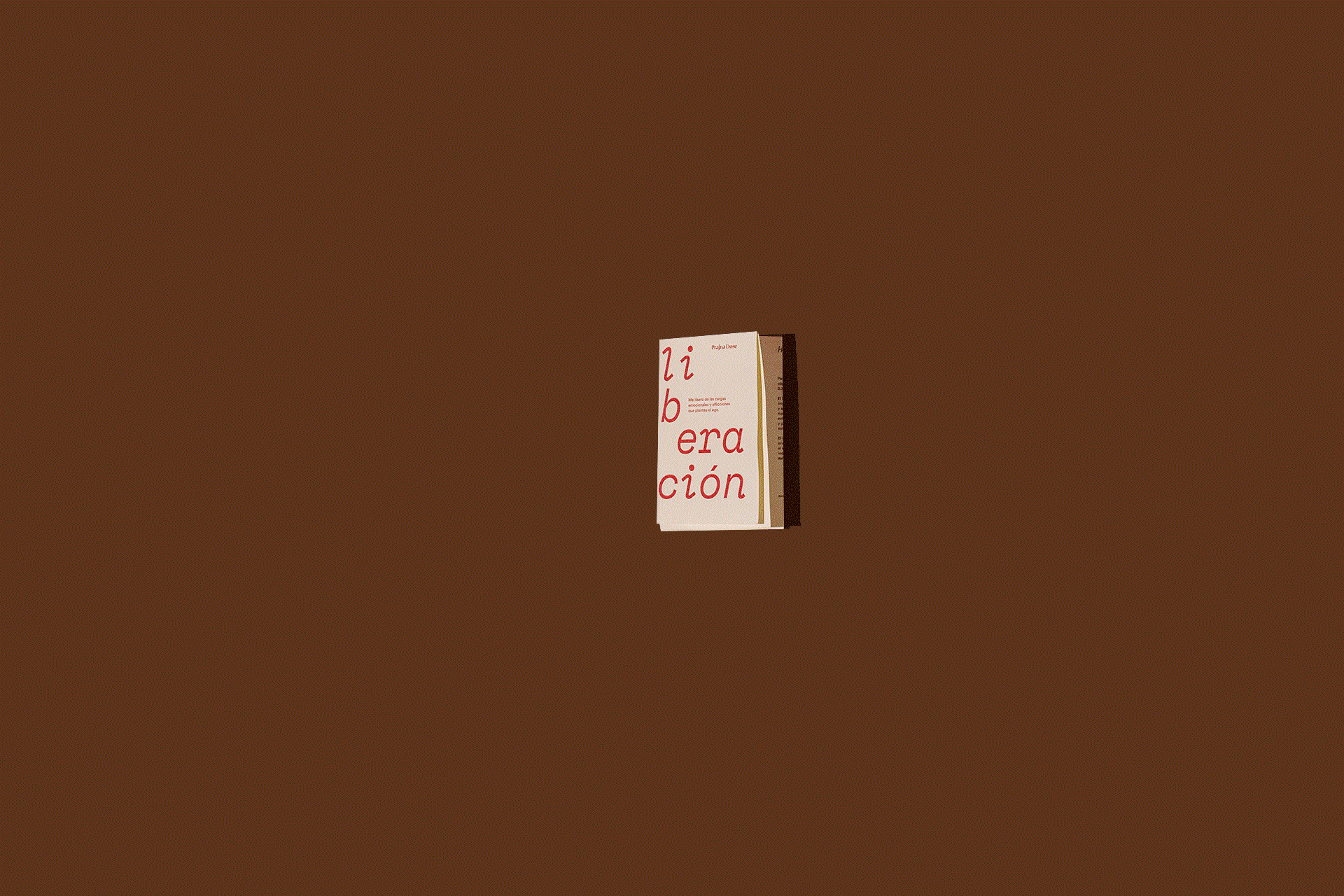 GIF1.gif