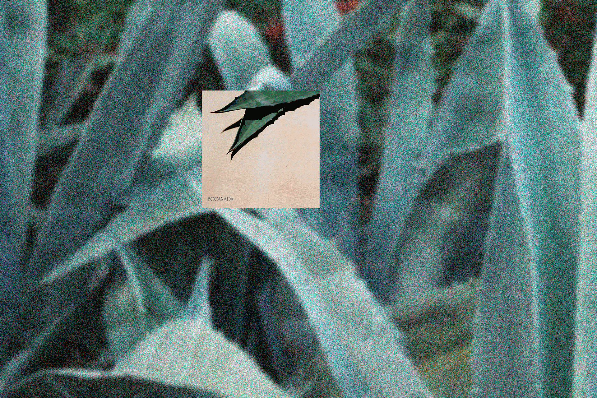MM_Bocanada_Grid_GIF.gif