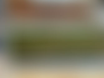 Authentic Southern Food Catering for Your Special Occasions