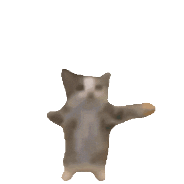 cat.gif