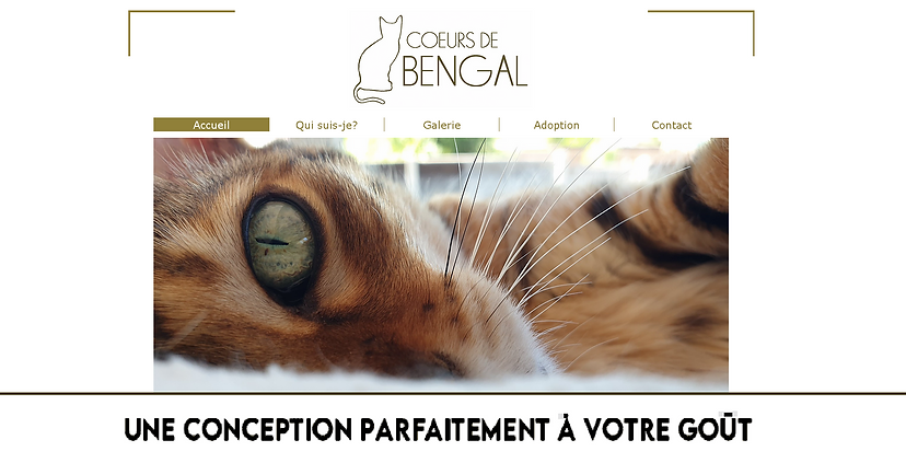 Réalisation de CréationConcept