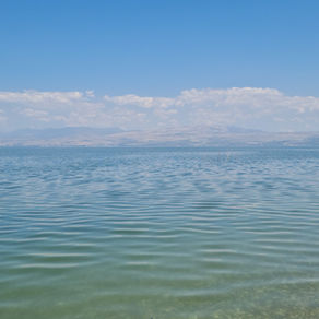 קמפינג בחוף גופרה 